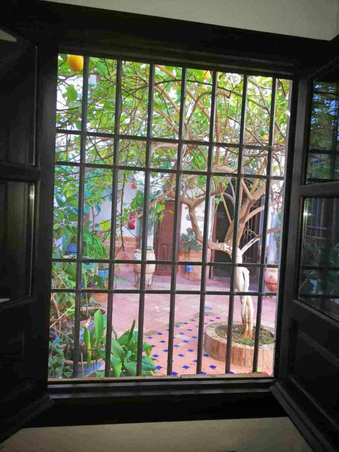 Casa Patio Los Suenos De Daury II Cordoue Extérieur photo